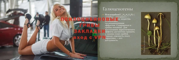 сатива Михайлов