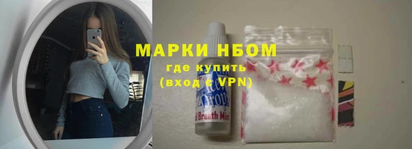 прущие грибы Абдулино