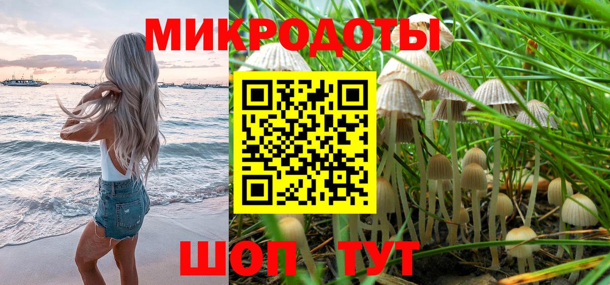 Галлюциногенные грибы GOLDEN TEACHER  Благодарный 