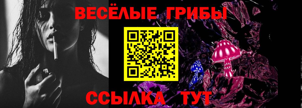 Псилоцибиновые грибы прущие грибы  Вход с VPN  Благодарный 