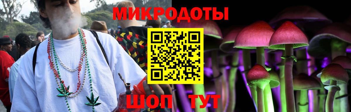 Псилоцибиновые грибы мицелий Благодарный